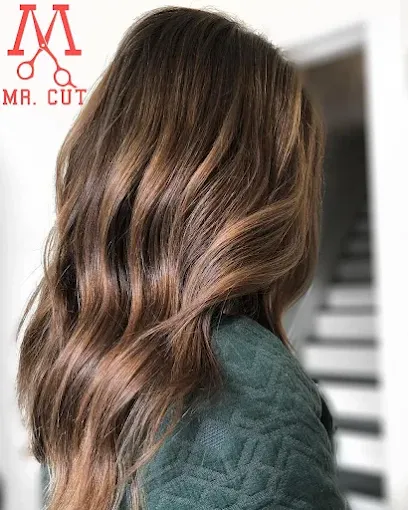 Damen-Balayage in warmem Braun bei MR CUT